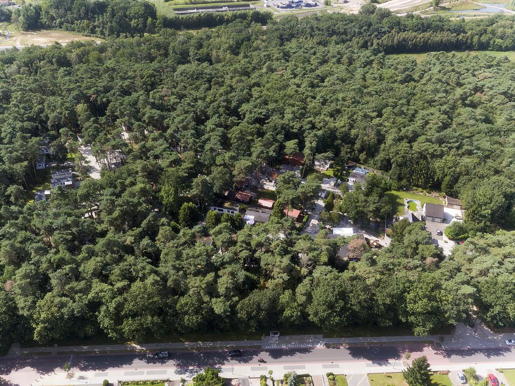 Bospark De Brenkberg Schinveld Exteriér fotografie