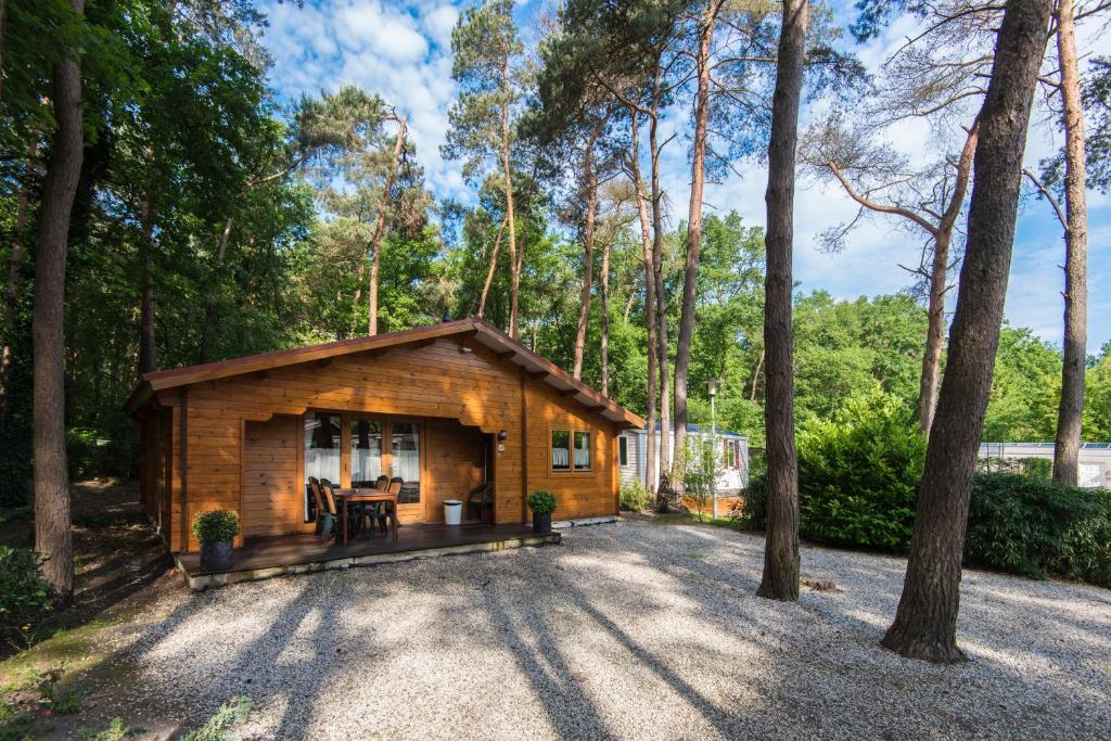 Bospark De Brenkberg Schinveld Pokoj fotografie