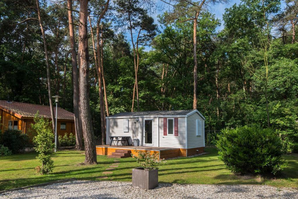 Bospark De Brenkberg Schinveld Pokoj fotografie