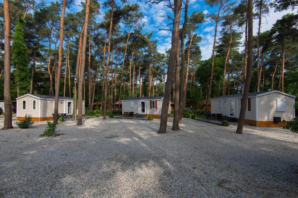Bospark De Brenkberg Schinveld Pokoj fotografie