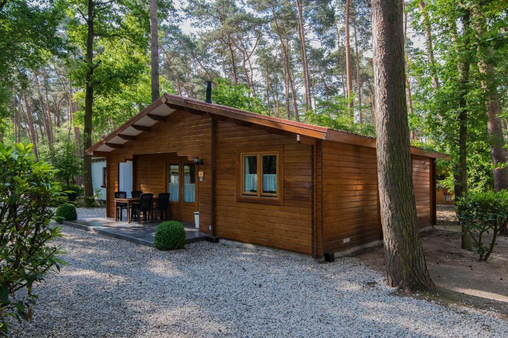 Bospark De Brenkberg Schinveld Pokoj fotografie